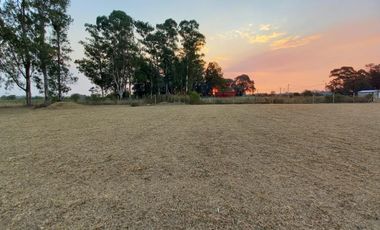 Terreno - Parque Sakura