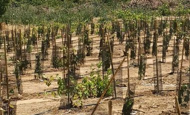 Casa en venta en CHILLÁN