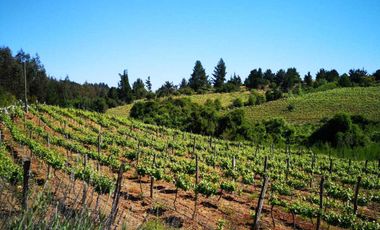 Casa en venta en CHILLÁN