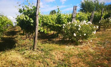 Casa en venta en CHILLÁN