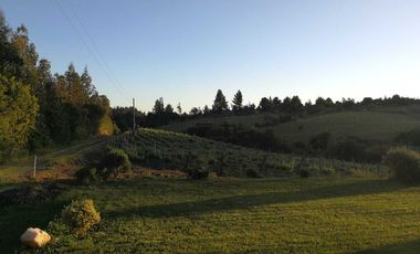 Casa en venta en CHILLÁN