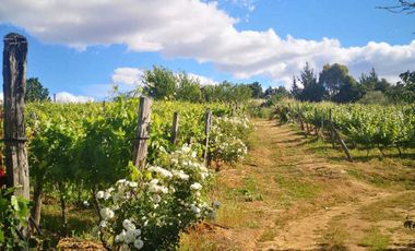 Casa en venta en CHILLÁN