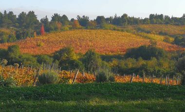 Casa en venta en CHILLÁN