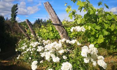 Casa en venta en CHILLÁN