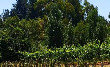 Casa en venta en CHILLÁN