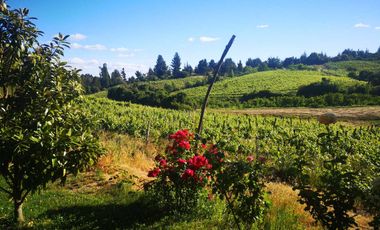 Casa en venta en CHILLÁN