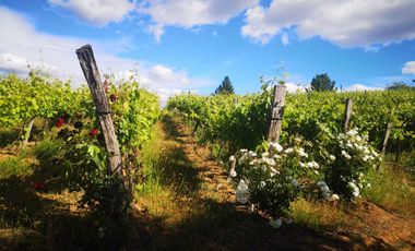 Casa en venta en CHILLÁN
