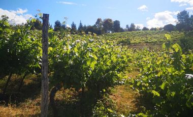 Casa en venta en CHILLÁN