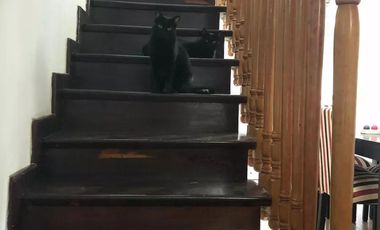 Casa en venta - 4 Dormitorios 2 Baños - Cochera - 300Mts2 - Merlo