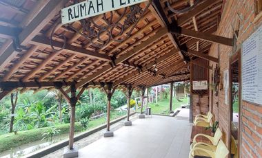 Villa Di Bogor Nyaman Asri Dengan Suasana Pedesaan Di Dramaga Bogor