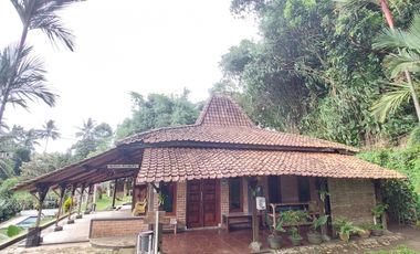 Villa Di Bogor Nyaman Asri Dengan Suasana Pedesaan Di Dramaga Bogor