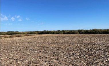 Campo Agricola en Molino Doll- Depto Victoria