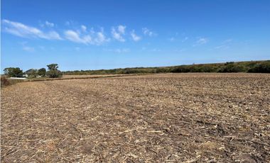 Campo Agricola en Molino Doll- Depto Victoria