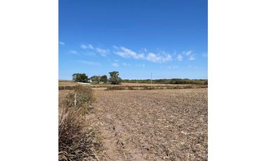 Campo Agricola en Molino Doll- Depto Victoria