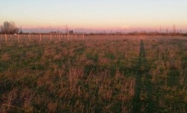 Parcela de Media hectárea, en Sector Santa Teresa