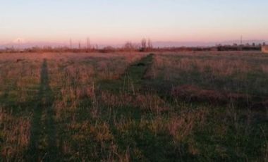 Parcela de Media hectárea, en Sector Santa Teresa