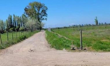 Parcela de Media hectárea, en Sector Santa Teresa