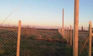 Parcela de Media hectárea, en Sector Santa Teresa