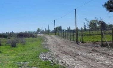 Parcela de Media hectárea, en Sector Santa Teresa