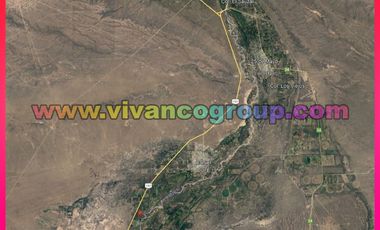 Se vende Chacra 20 has. con producción de nueces en Catriel,ProvinciadeRío Negro, norte de la Patagonia, Argentina.