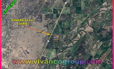 Se vende Chacra 20 has. con producción de nueces en Catriel,ProvinciadeRío Negro, norte de la Patagonia, Argentina.
