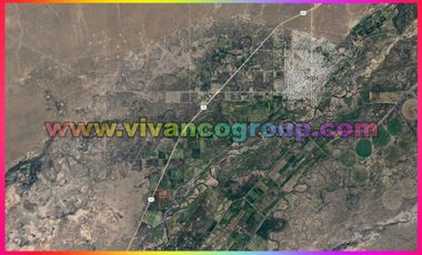 Se vende Chacra 20 has. con producción de nueces en Catriel,ProvinciadeRío Negro, norte de la Patagonia, Argentina.