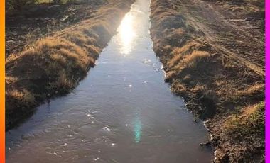 Se vende Chacra 20 has. con producción de nueces en Catriel,ProvinciadeRío Negro, norte de la Patagonia, Argentina.