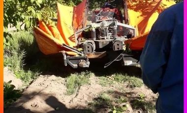 Se vende Chacra 20 has. con producción de nueces en Catriel,ProvinciadeRío Negro, norte de la Patagonia, Argentina.