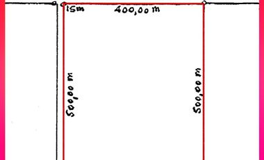 Se vende Chacra 20 has. con producción de nueces en Catriel,ProvinciadeRío Negro, norte de la Patagonia, Argentina.