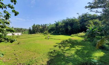 Dekat SMA N 1 Sentolo, Kavling SHM Siap Bangun