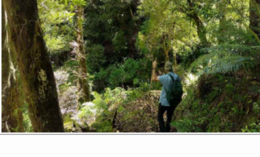 Terreno Construccion  en Venta en Namoncahue