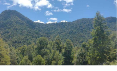 Terreno Construccion  en Venta en Namoncahue