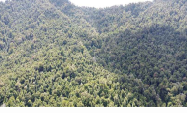 Terreno Construccion  en Venta en Namoncahue