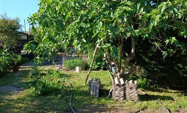 Parcela en Venta en BOLLENAR