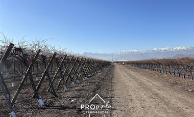 Parcela en Venta en Ruta 5 norte, km 40