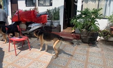 Local Comercial en Venta en Tongoy