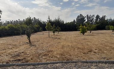 CASA CON RECEPCION FINAL Y EN CONDOMINIO