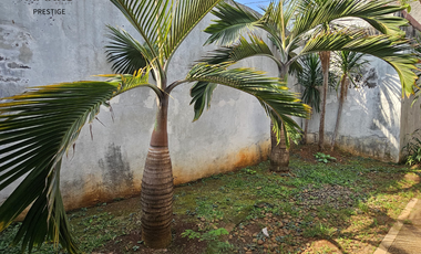 DIJUAL 2 RUMAH UNTUK HUNIAN DAN KANTOR EX STUDIO REKAMAN LOKA INDAH