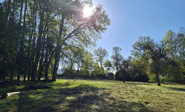 LANCO-PANGUIPULLI, FABULOSO  SITIO DE 5000 MTS2 EN AYLIN