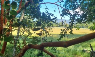 LANCO-PANGUIPULLI, FABULOSO  SITIO DE 5000 MTS2 EN AYLIN