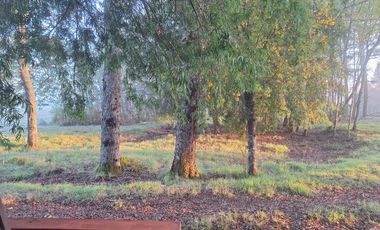 LANCO-PANGUIPULLI, FABULOSO  SITIO DE 5000 MTS2 EN AYLIN