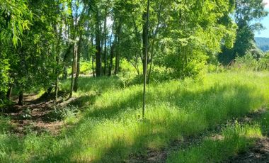 LANCO-PANGUIPULLI, FABULOSO  SITIO DE 5000 MTS2 EN AYLIN