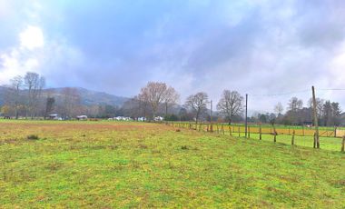 LANCO-PANGUIPULLI, FABULOSO  SITIO DE 5000 MTS2 EN AYLIN