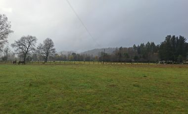 LANCO-PANGUIPULLI, FABULOSO  SITIO DE 5000 MTS2 EN AYLIN