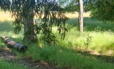 LANCO-PANGUIPULLI, FABULOSO  SITIO DE 5000 MTS2 EN AYLIN