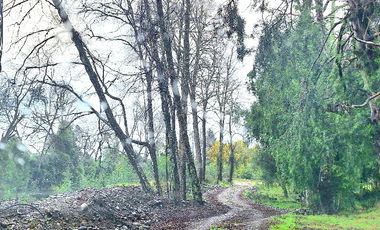 LANCO-PANGUIPULLI, FABULOSO  SITIO DE 5000 MTS2 EN AYLIN