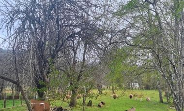 LANCO-PANGUIPULLI, FABULOSO  SITIO DE 5000 MTS2 EN AYLIN