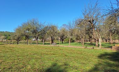 LANCO-PANGUIPULLI, FABULOSO  SITIO DE 5000 MTS2 EN AYLIN