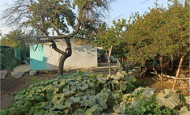 Gran Terreno con salida a dos avenidas, Quilicura