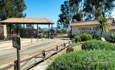 Parcela con Cabaña en Foresta de Zapallar